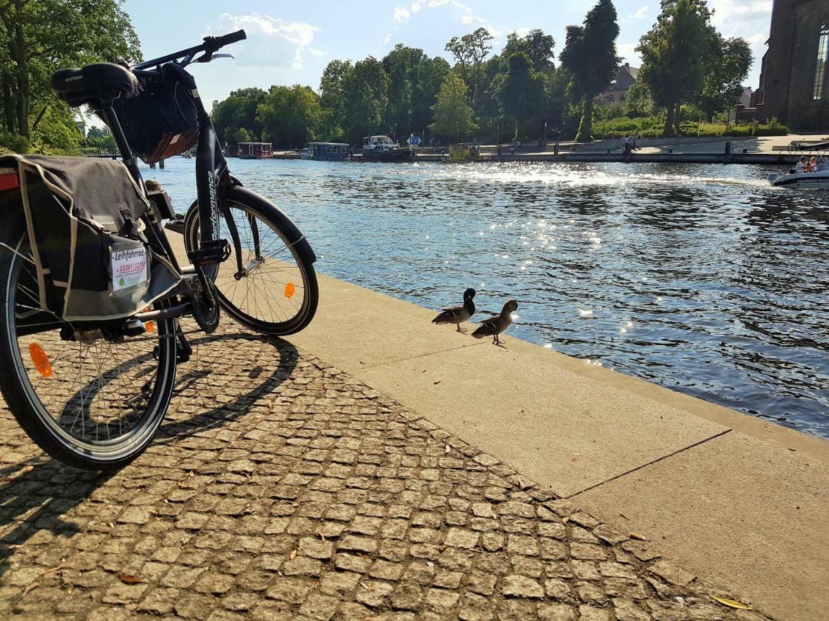 Pension Zum Birnbaum Brandenburg  Exteriör bild