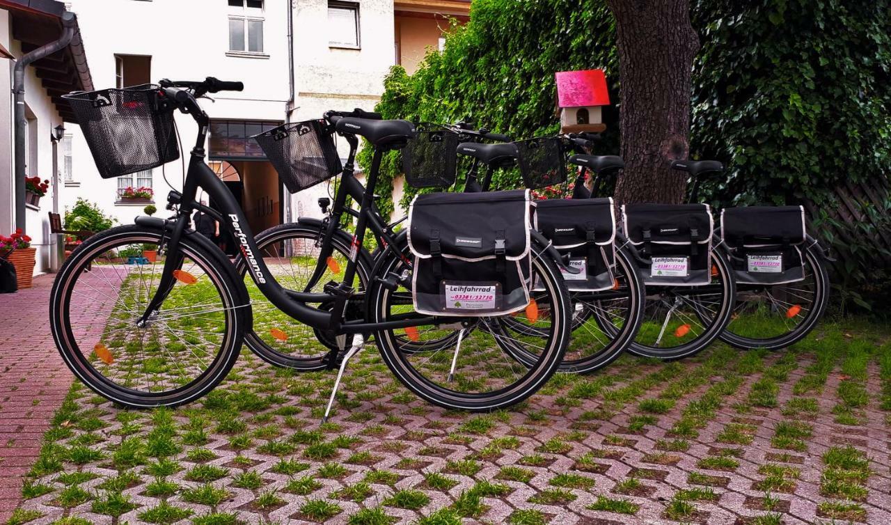 Pension Zum Birnbaum Brandenburg  Exteriör bild